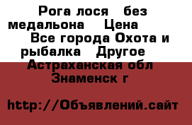 Рога лося , без медальона. › Цена ­ 15 000 - Все города Охота и рыбалка » Другое   . Астраханская обл.,Знаменск г.